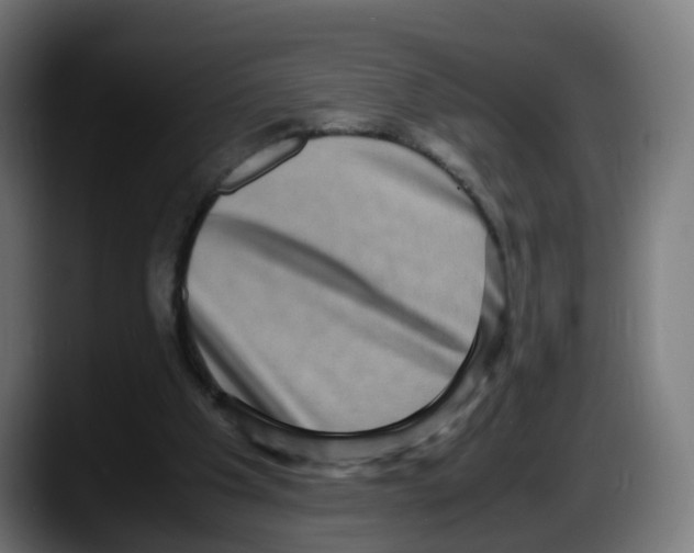 X0000087560201200705251807