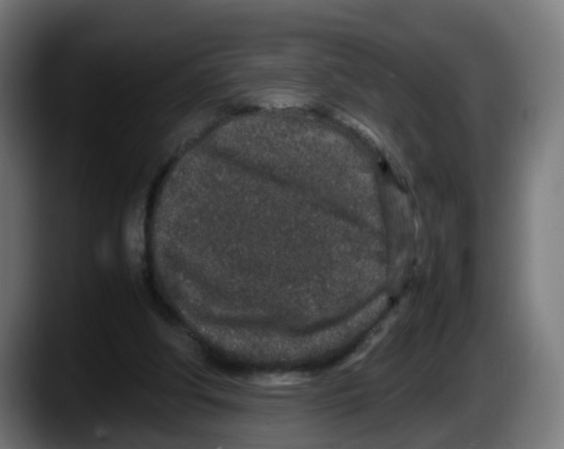 X0000087560202200705251807