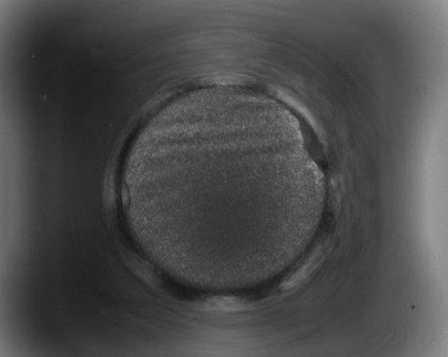 X0000087560203200705251807