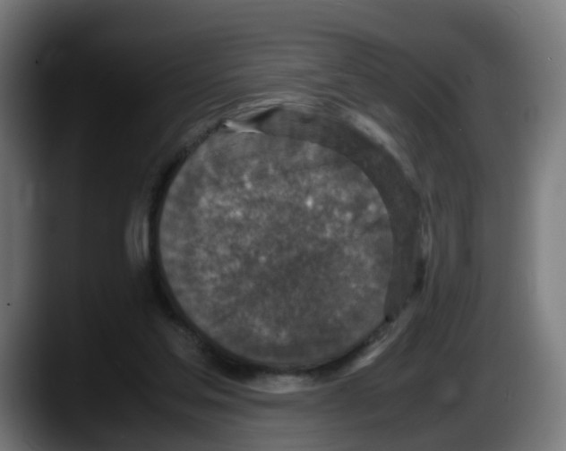 X0000087560205200705251807
