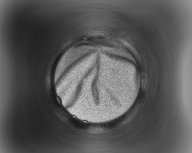 X0000087560207200705251807