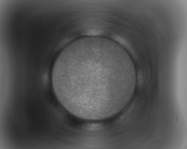 X0000087560208200705251807