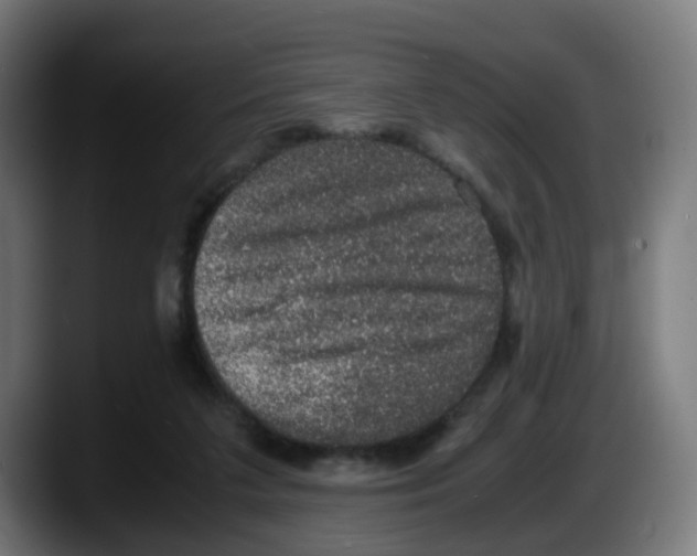 X0000087560211200705251807
