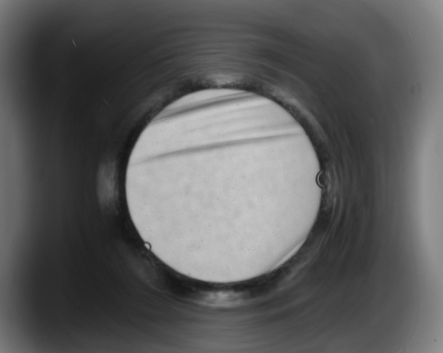 X0000087560212200705251807