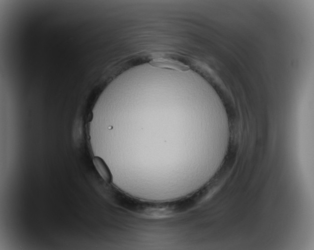 X0000087560213200705251807