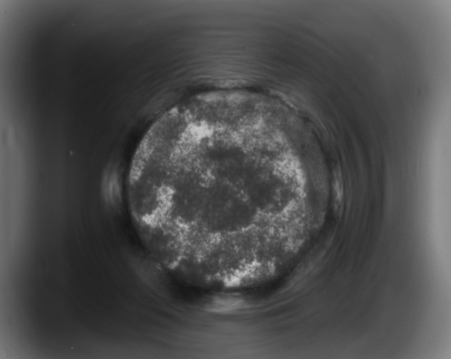 X0000087560214200705251807