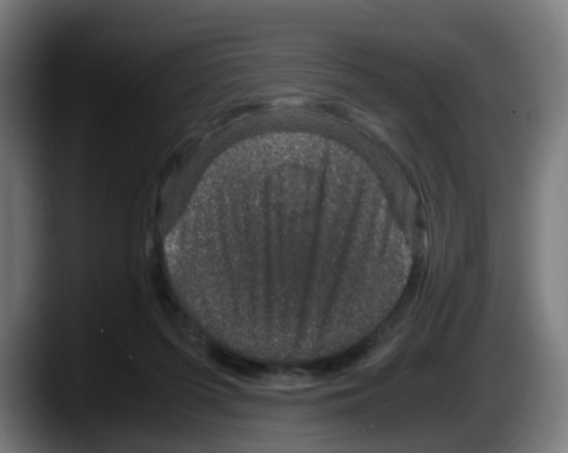 X0000087560215200705251807