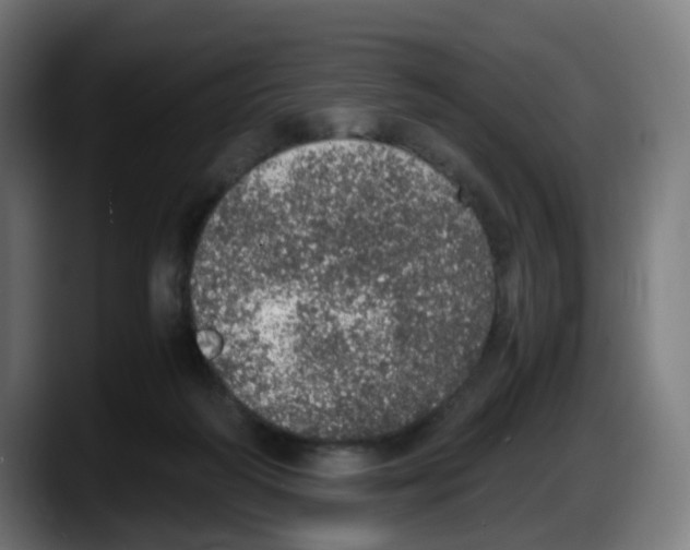 X0000087560218200705251807