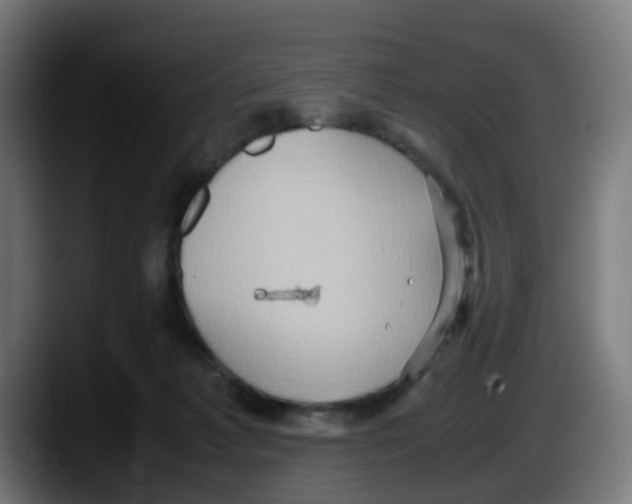 X0000087560221200705251807