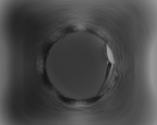 X0000087560223200705251807