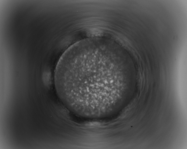 X0000087560224200705251807