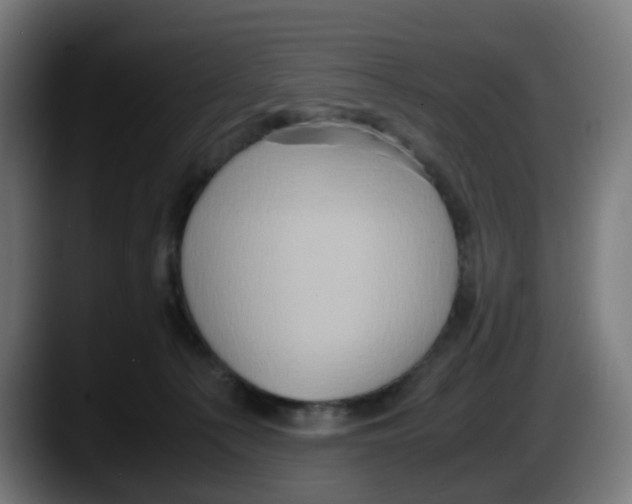X0000087560225200705251807