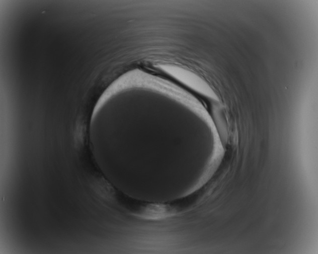 X0000087560227200705251807