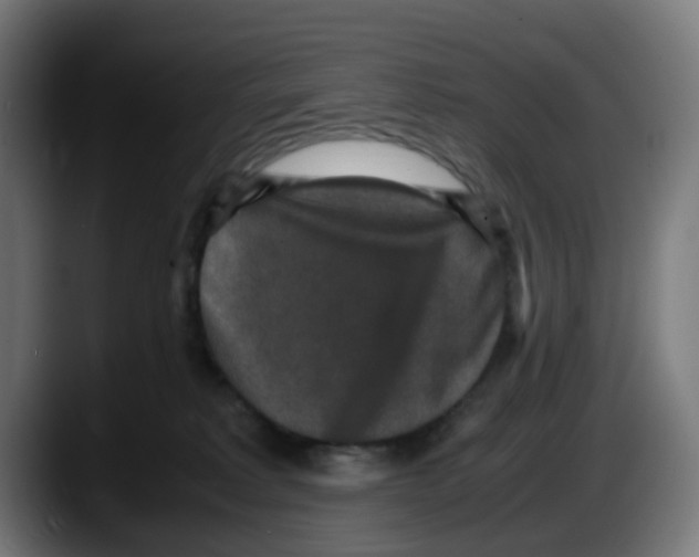 X0000087560229200705251806