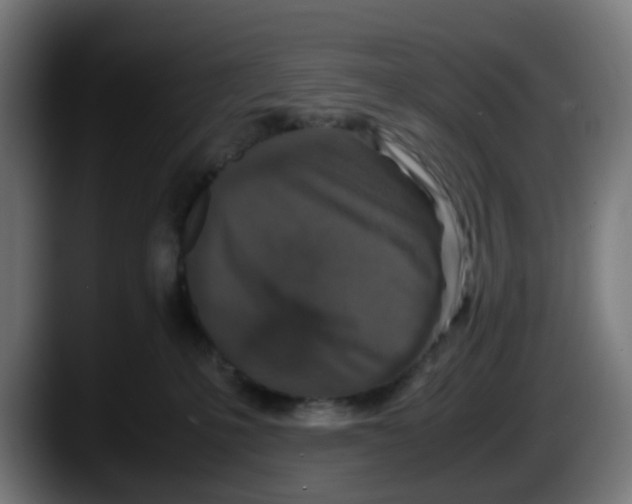 X0000087560231200705251806