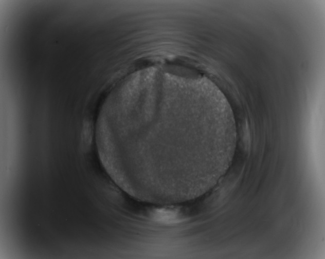 X0000087560232200705251806