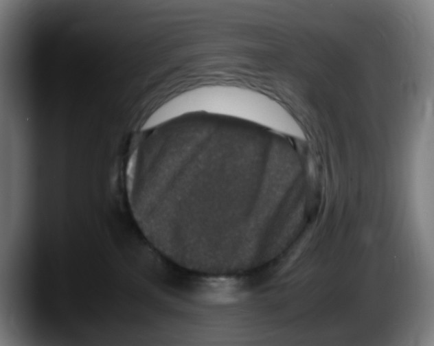 X0000087560233200705251806