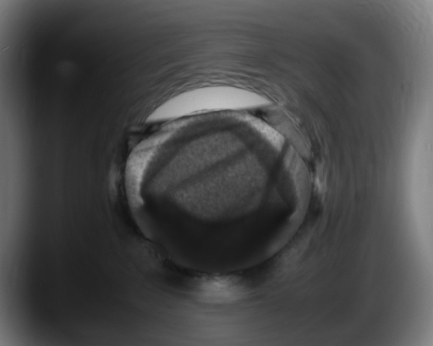 X0000087560235200705251806