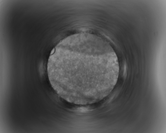 X0000087560236200705251806