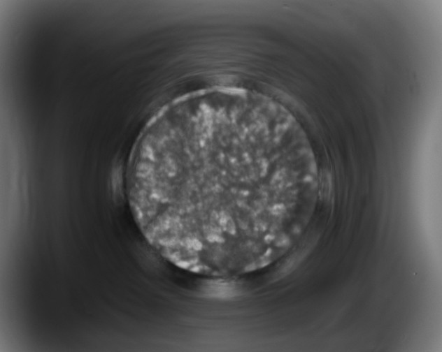 X0000087560238200705251806
