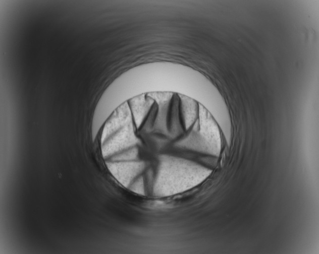 X0000087560239200705251806