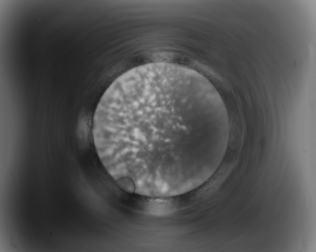 X0000087560240200705251806