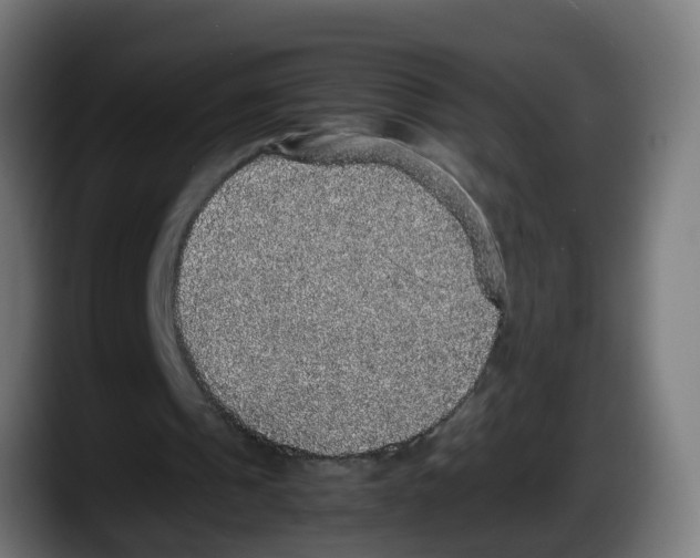 X0000087560241200705251806