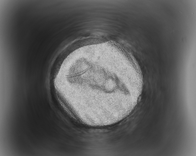 X0000087560242200705251806