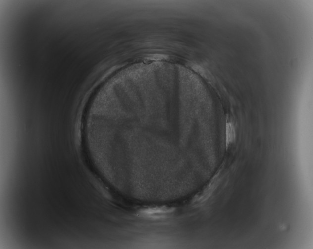 X0000087560243200705251806