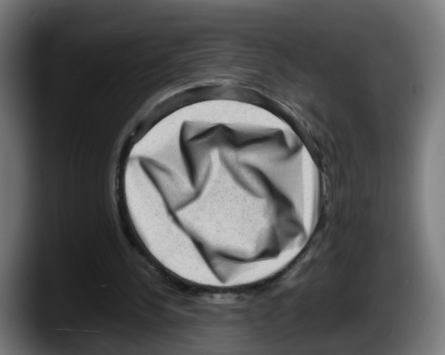 X0000087560244200705251806