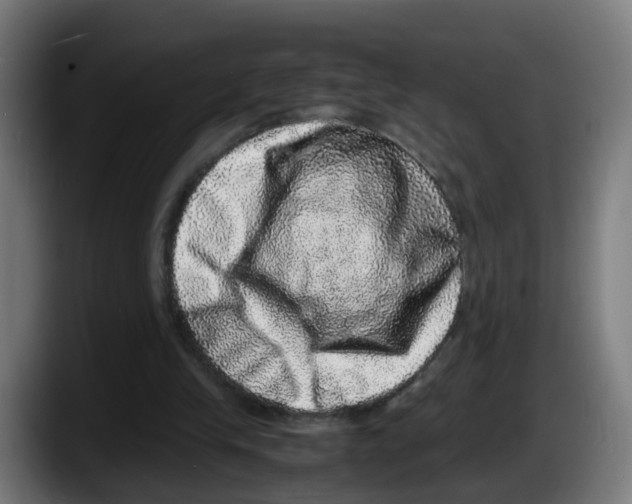 X0000087560245200705251806