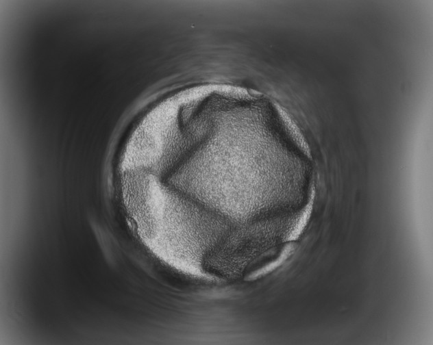 X0000087560246200705251806