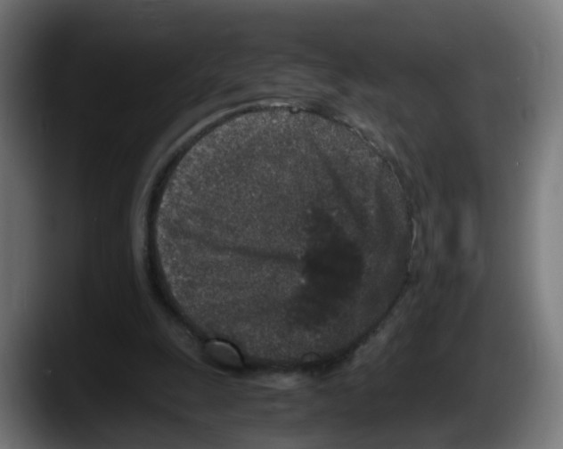 X0000087560247200705251806