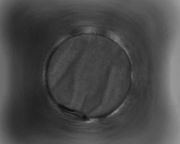 X0000087560249200705251806