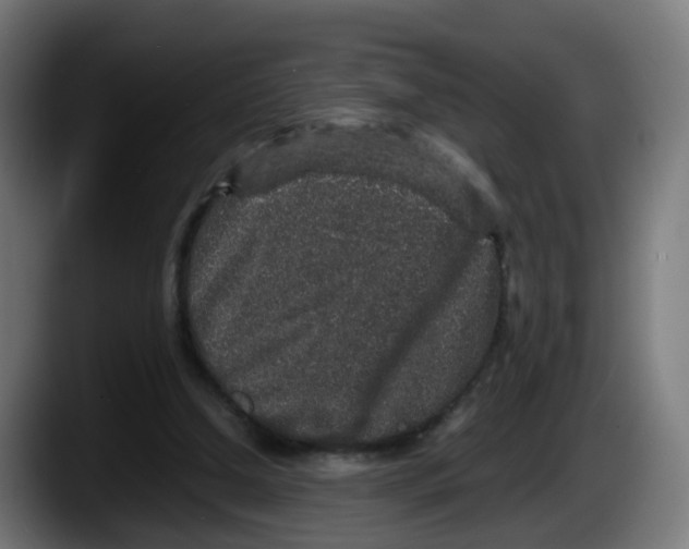 X0000087560250200705251806