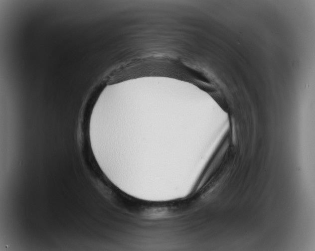 X0000087560252200705251806