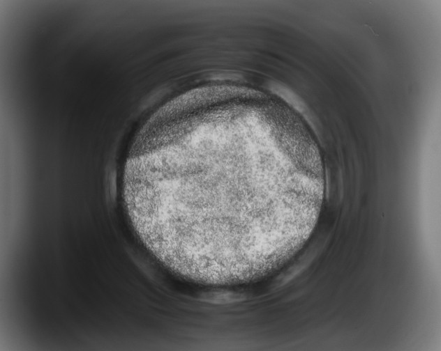 X0000087560253200705251806