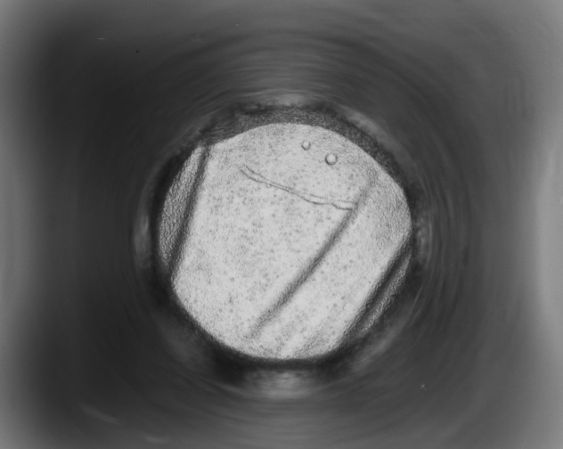 X0000087560254200705251806