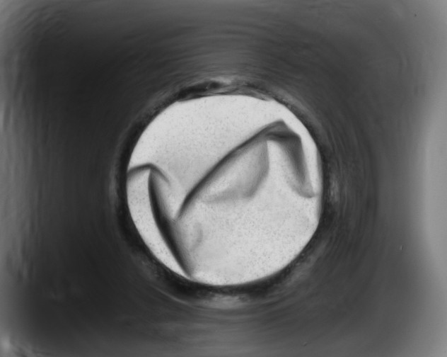 X0000087560256200705251806