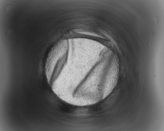 X0000087560257200705251806