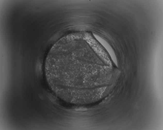 X0000087560258200705251806