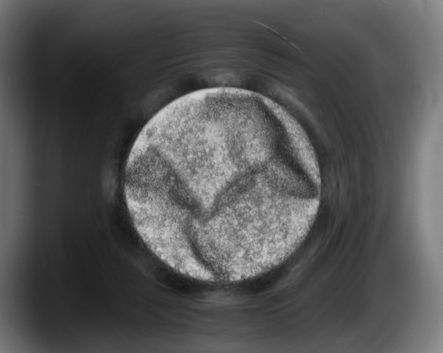 X0000087560259200705251806
