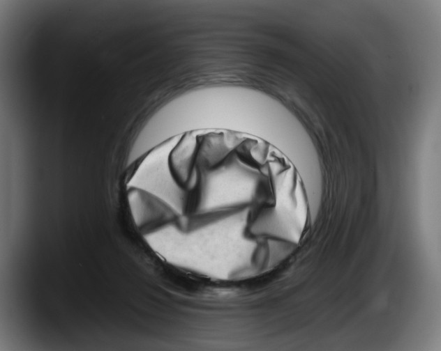 X0000087560260200705251806