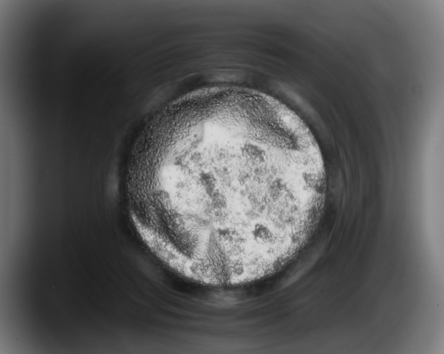 X0000087560261200705251806