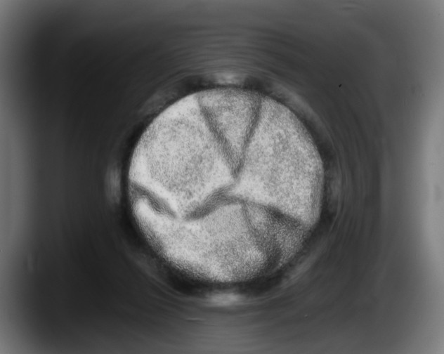 X0000087560262200705251806