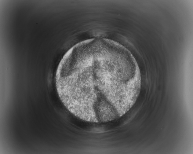 X0000087560263200705251806