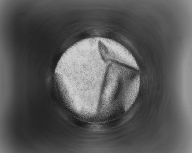 X0000087560265200705251806