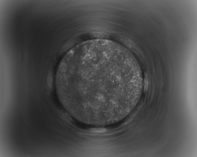X0000087560266200705251806