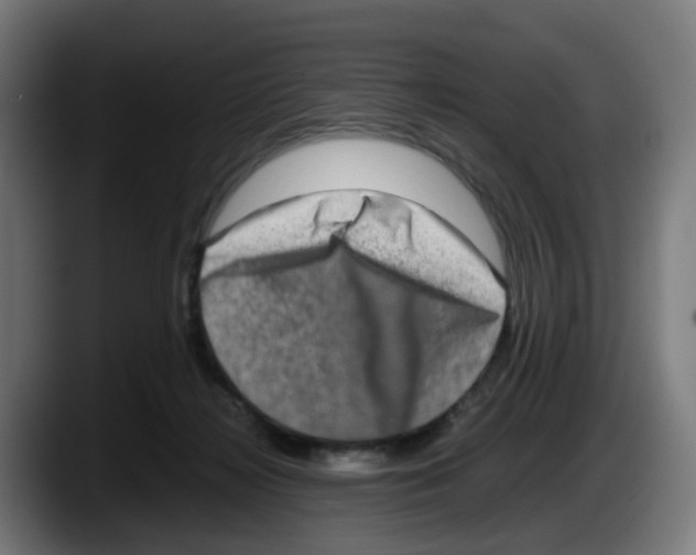 X0000087560268200705251806