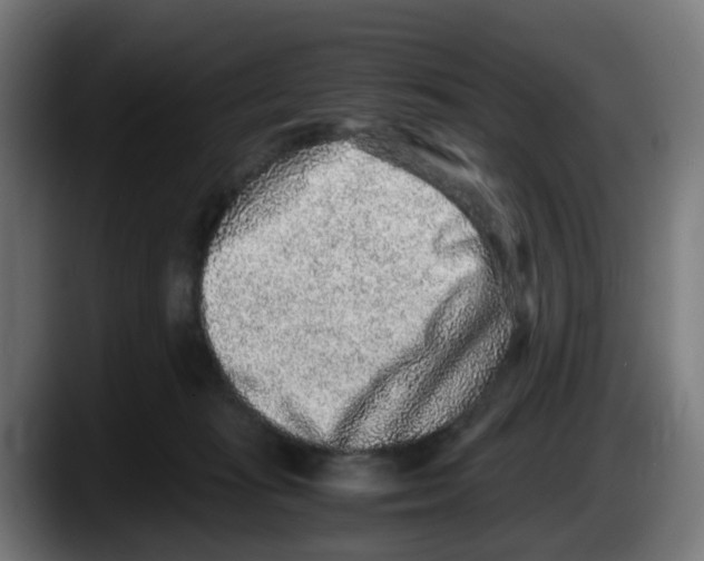 X0000087560269200705251806
